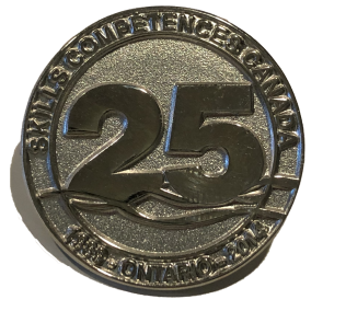 25th anniversary pin 