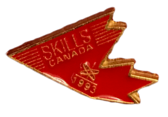 1993 Pin