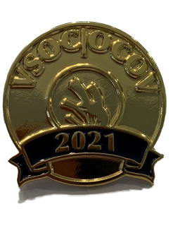 2021 Pin and Medal winning designs 
